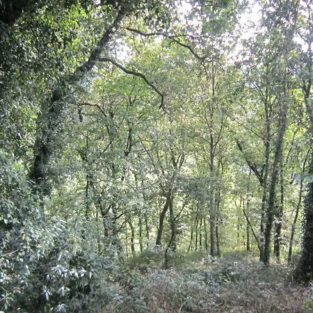 Paco De Pombeiro - Turismo De Habitacao בית הארחה 4*