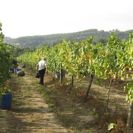 Paco De Pombeiro - Turismo De Habitacao Casa de hóspedes