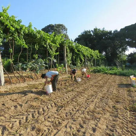 Casa de hóspedes Paco De Pombeiro - Turismo De Habitacao Felgueiras