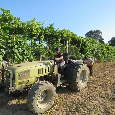 Paco De Pombeiro - Turismo De Habitacao בית הארחה