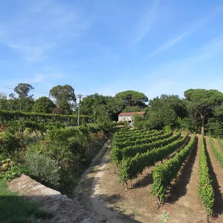 Maison d'hôtes Paco De Pombeiro - Turismo De Habitacao 4*