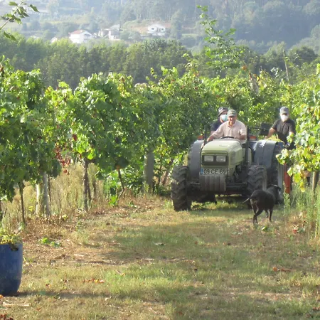 Paco De Pombeiro - Turismo De Habitacao 4*