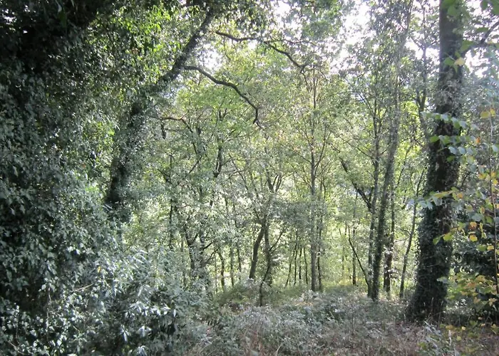 Paco De Pombeiro - Turismo De Habitacao Gæstehus 4*