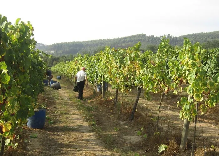 Paco De Pombeiro - Turismo De Habitacao בית הארחה