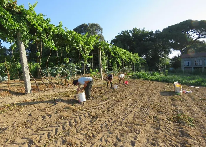 Gæstehus Paco De Pombeiro - Turismo De Habitacao Felgueiras