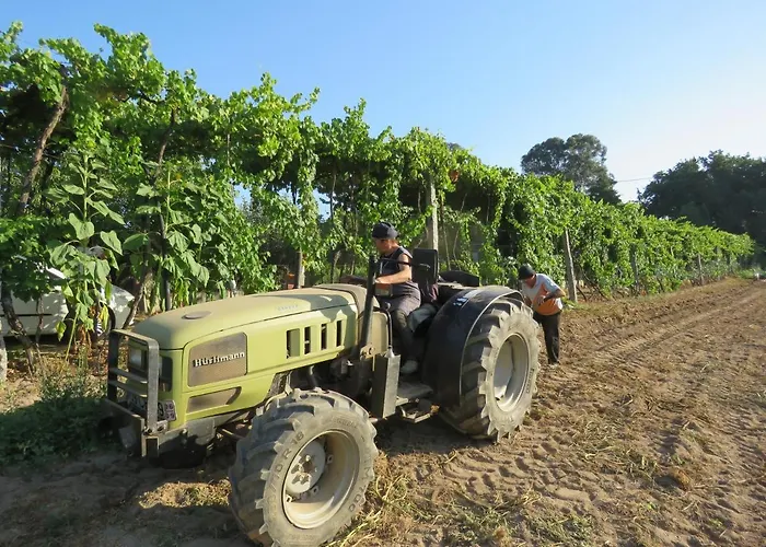 Paco De Pombeiro - Turismo De Habitacao Gasthof