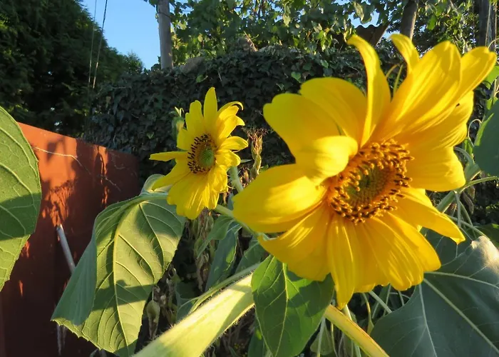 Paco De Pombeiro - Turismo De Habitacao בית הארחה