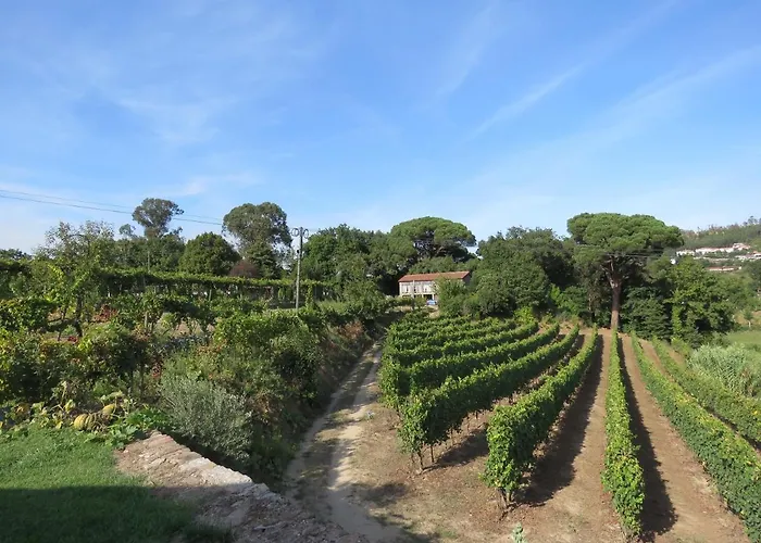 Gasthof Paco De Pombeiro - Turismo De Habitacao 4*