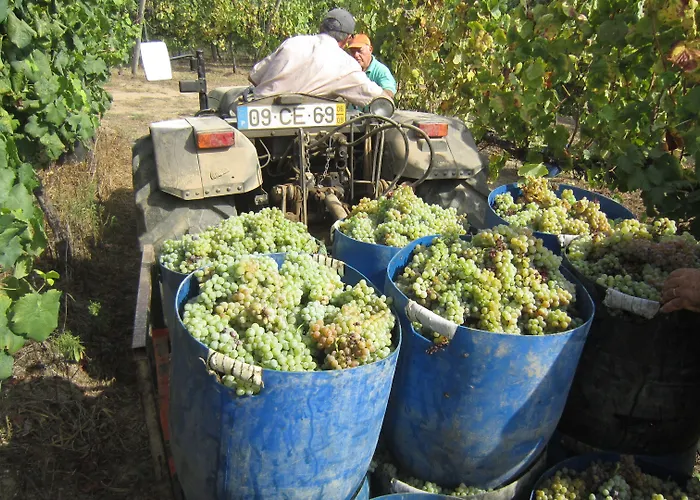 Paco De Pombeiro - Turismo De Habitacao