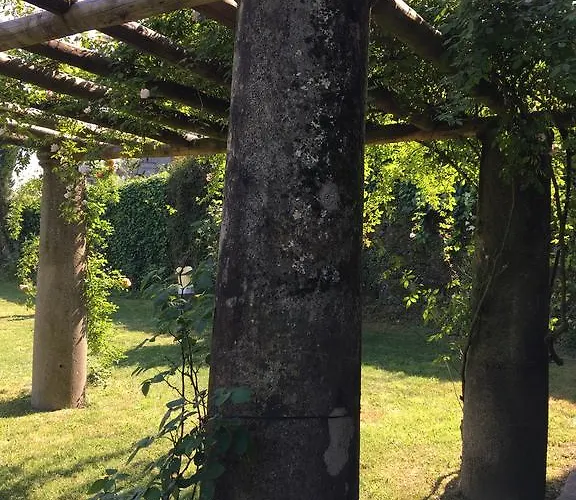 Gasthof Paco De Pombeiro - Turismo De Habitacao